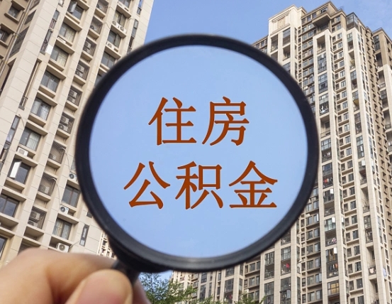 石家庄退休后查不到公积金明细了吗（退休后公积金查询不到原因）